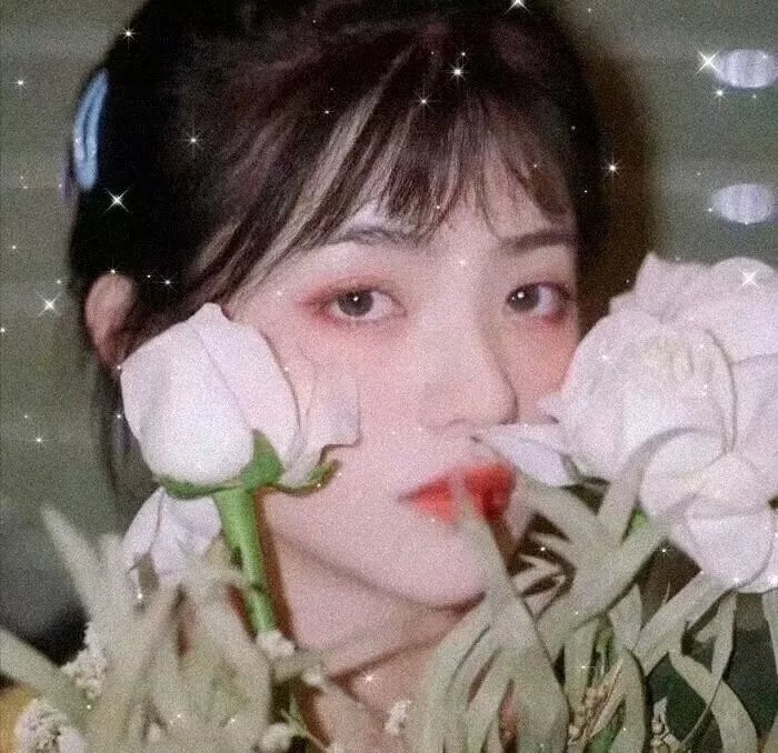 荒江女侠