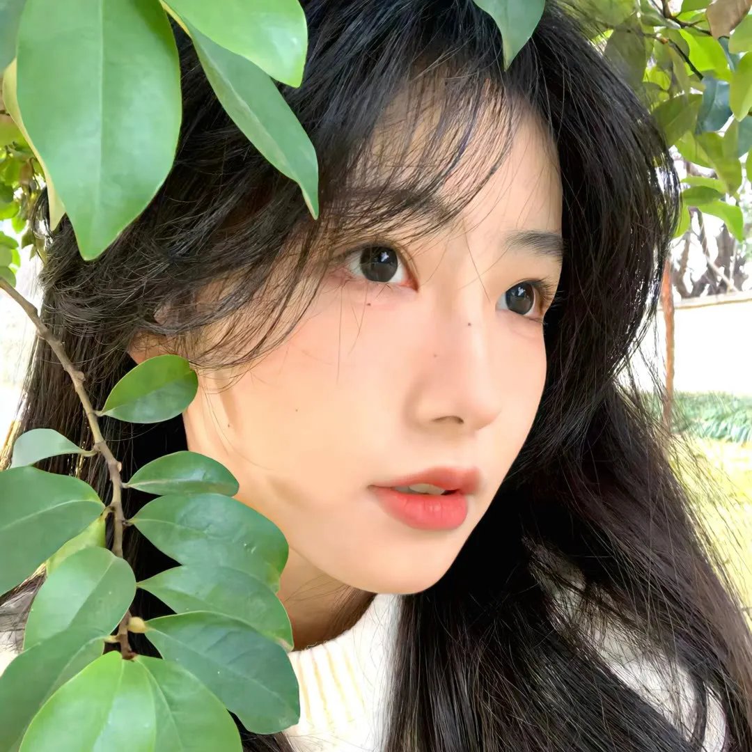寂寞的十七岁